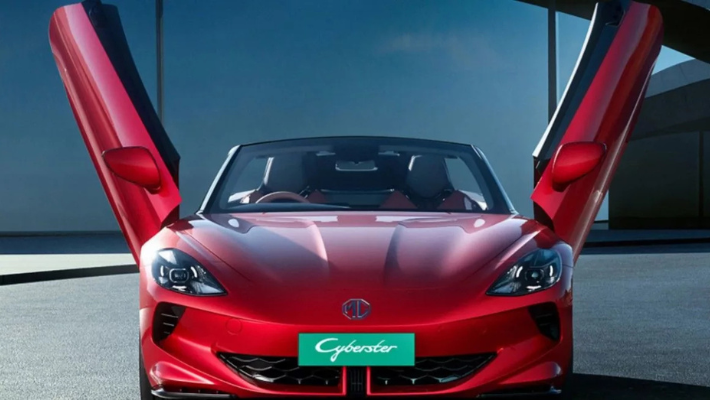 Mg